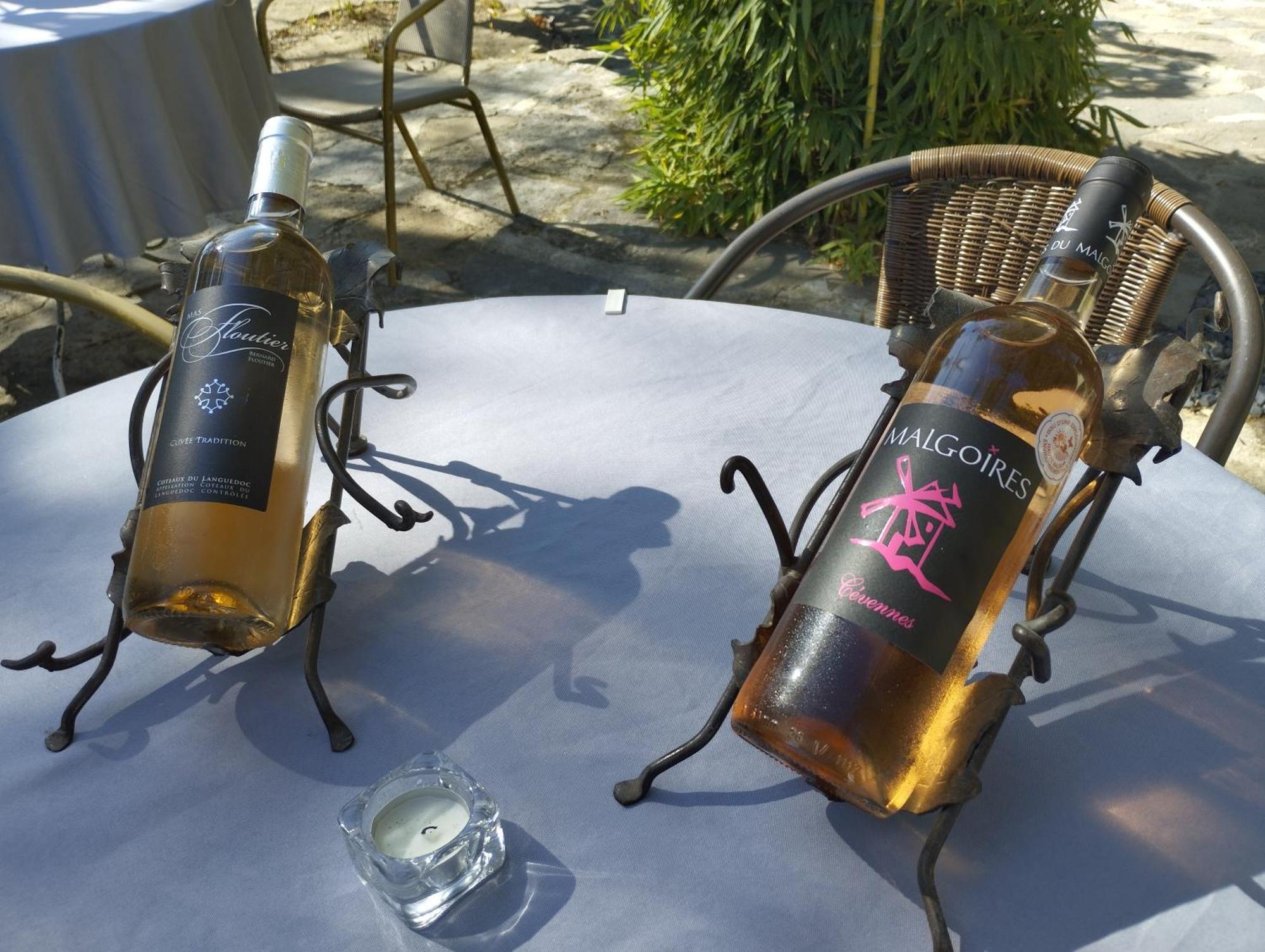 Logis Hotel Restaurant L'Esquielle Saint-Genies-de-Malgoires Eksteriør billede
